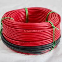 Cables Calefactores Tanya con Aislamiento FEP, Aleación de Cobre y Níquel, Doble Conductor Trenzado de Calibre 24 AWG, Clasificación IP61, para Calefacción por Suelo Radiante, Uso Industrial y Exterior