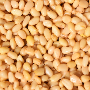 Pignons de pin naturels riches en vitamines et en nutriments, fournis pour les commandes en gros et destinés à une consommation saine et équilibrée. - Product Image 1