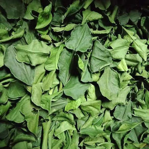 Hojas secas de Lima Kaffir de Tailandia 100% Natural Premium Dry - Product Image 1