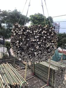 Pôles de construction en bambou de grand diamètre, traités sur mesure pour le soutien structurel, vente en gros - Product Image 2