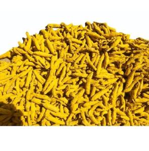 Doigt de curcuma de qualité supérieure | Région de Nizamabad | Extrait de plante à base de plantes | Récolté à l'état sauvage | Inde Fournisseur - Product Image 3