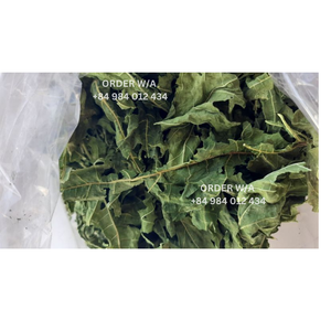 <b>VACUUM</b> <b>BAG</b> 2024 DRIED PAPAYA LEAVES PREMIUM QUALITY BEST PRICE - Product Image 6