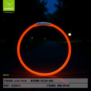 Collare Fluorescente per Cani, Accessorio di Sicurezza Facile da Vedere in Ambienti Scuri - Product Image 3