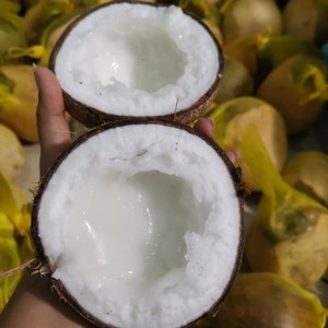 Distributeur de cire de noix de coco entier, cire de noix de coco pour esporter, fabriqué en noix de coco au Vietnam, vacances - Product Image 1