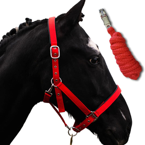 En gros, Nouvelle Tendance : Licol pour Cheval en Nylon Robuste pour Usage Quotidien, avec Option Cuir Véritable, Rembourré et Ajustable - Product Image 1