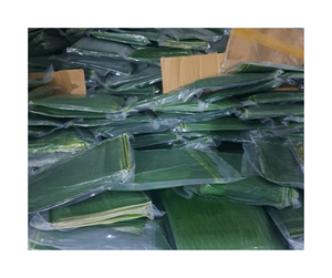 Hoja de plátano congelada para envolver alimentos Precio de fábrica al por mayor-Hoja de plátano congelada seleccionada Empaquetado al vacío para exportación - Product Image 4