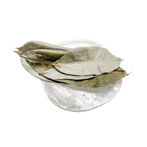 100% feuilles de corossol séchées naturelles de Graviola du Vietnam de haute qualité 2024 - Product Image 5