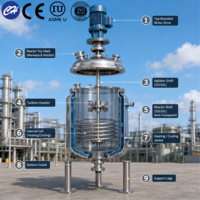 Cuve de mélange chimique industrielle en acier inoxydable SS304 & 316L, équipée d'un système de chauffage électrique, CE & ISO