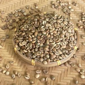 Coffee <b>Beans</b> Wholesaler From Vietnam Honey S18 Customized Packing Competitive Price - Product Image 4