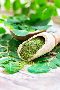 Vente en gros en vrac de poudre de Moringa 100% pure biologique, produit à base de plantes, extrait de feuilles de Moringa 100% naturel biologique - Product Image 4