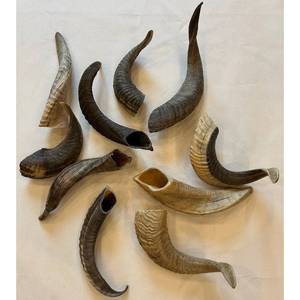 Cornes de buffle sculptées, idéales pour servir de cornes à boire et de cornes à souffler, adaptées à la revente - Product Image 2