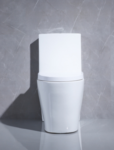 Modern Luxurious Washdown Ceramic Sanitary Ware Dual-Flush One Piece <strong>Toilet</strong> for Hotels Washrooms with P-Trap Drainage Pattern - Product Image 3