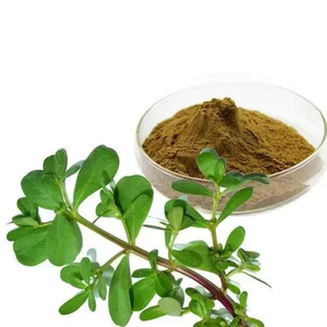 Purslane粉末エキスSaponins 50% <span class=keywords><strong>Oleracea</strong></span> Purslaneエキス - Product Image 3