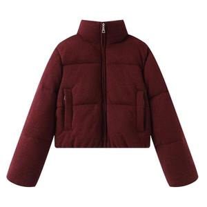 Printemps/automne nouvelle femme col montant Slim Fit doudoune femmes mode dégradé Ultra léger vers le bas - Product Image 5