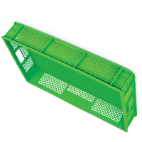DPK16 Caisses et assiettes et bols à fruits en plastique élégants pour un stockage et un service pratiques