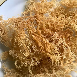 SEAMOSS EXPORTACIÓN DESDE VIET NAM ALTA CALIDAD CON 100% NATURAL - Product Image 1