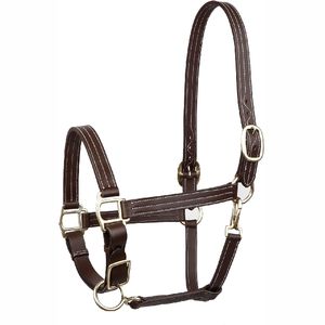 Nouveau 2025 Cheval Halter Nylon Halters PP Cheval Halters Horse Head Colliers - Product Image 1