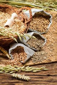 Trigo de Primera Calidad |   Variedades Duras y Blandas |   Suministro al por Mayor - Product Image 5