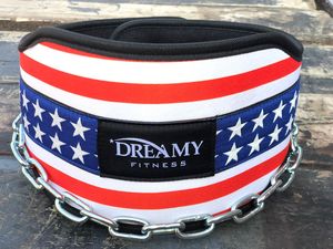 Custom Logo Printing Available Weight Lifting Dipping Dip Belt with Steel <b>Chain</b> for Dips and Pull Ups - Product Image 2