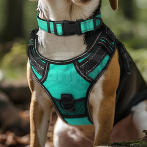 Collier pour animaux de compagnie de qualité supérieure, réglable, rembourré, durable, confortable, adapté aux promenades quotidiennes, à l'entraînement et aux activités de plein air - Product Image 2