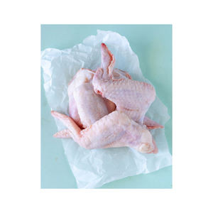 Ailes de poulet surgelées en vrac disponibles pour les distributeurs et la vente en gros à bas prix - Product Image 5