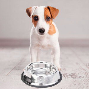 Ciotole in Acciaio Inox per Cani e Gatti, Alzate e Antiscivolo, Ecologiche, Taglia S per Uso Esterno - Product Image 3