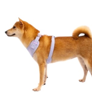 Arnés Ajustable de Algodón para Perro, Color Lavanda Sólido, Cierre de Hebilla, Estilo Simple, Tipo Rower, para Perros Pequeños - Product Image 3