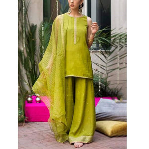 Nouveauté Dames Shalwar Kameez Design Costumes Pakistanais Vêtements d'hiver pour femmes disponibles au prix de gros - Product Image 2
