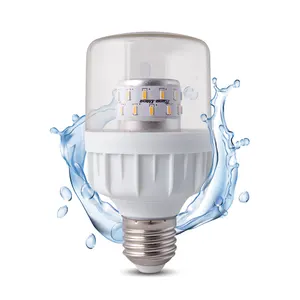 Waterproof IP65 9W LED Grow Light For Chrysanthemum