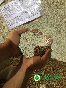 Pimienta blanca de Vietnam de alta calidad, procesada cruda seca, precio competitivo Contacto Ms Lynn Phalco + 84869981238 - Product Image 4