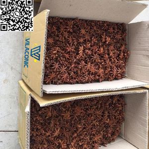 High Quality Vietnamese Star Aniseed Dried Cassia <b>Spice</b> Competitive Price <b>Single</b> <b>Herb</b> Contact Quincy WA 84858080598 - Product Image 6