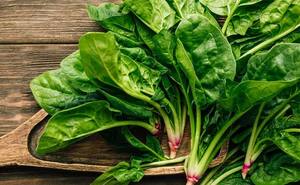 ÉPINARDS FRAIS CONGELÉS/SOURCE DE FER PLANTE/SANS ADDITIF/FEUILLE NATURE - Product Image 3