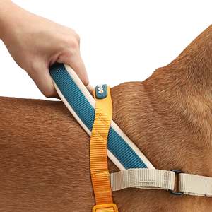 Harnais de luxe norvégien pour chien Softer-Walk Voyage en polyester durable pour chiens de petite, moyenne et grande taille, style simple pour des promenades faciles - Product Image 2