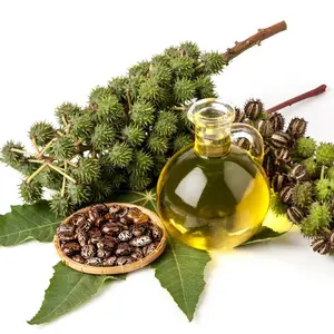 Industrial and Cosmetic Use Castor Oil Pale Pressed Grade Supplier and Manufacturer In India Export At Lowest price