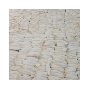 ซื้อกระดูกปลาหมึกออนไลน์: กระบวนการอบแห้งตามธรรมชาติเหมาะสำหรับการดึงนกส่งออกสินค้าจากเวียดนาม - Product Image 2