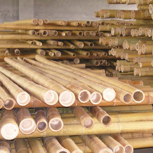 ต้นไผ่ tonkin ที่มีความแข็งแรงสูงสำหรับใช้ในเรือนเพาะชำต้นไม้ - Product Image 3