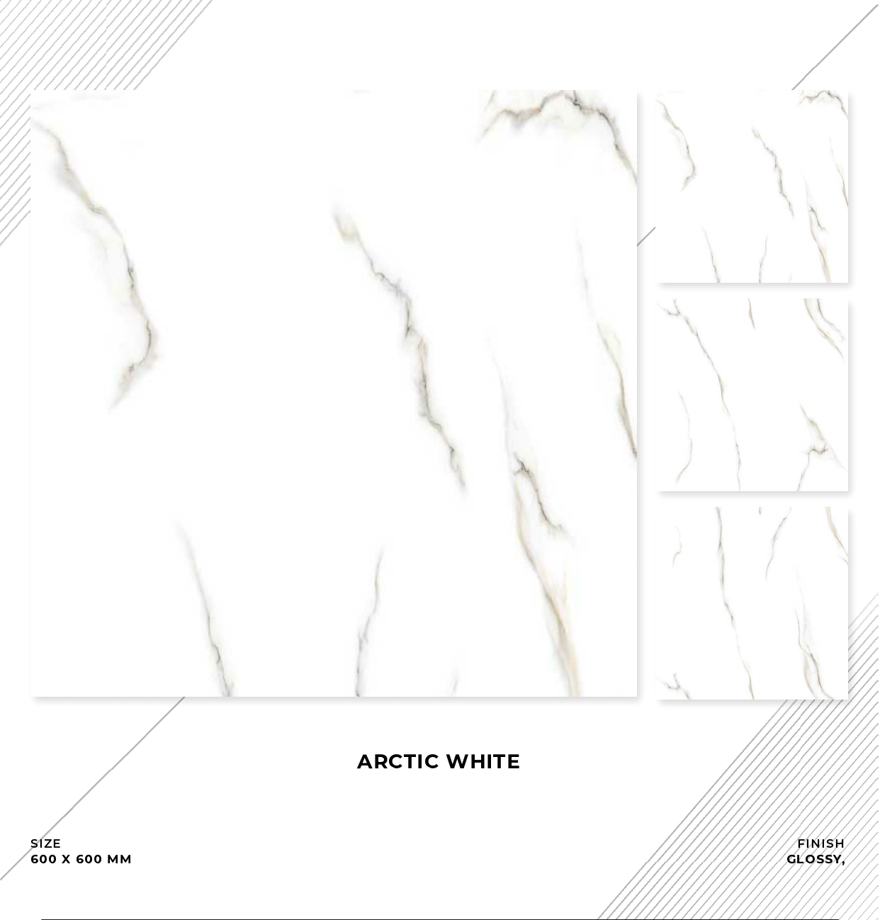 Arctic White