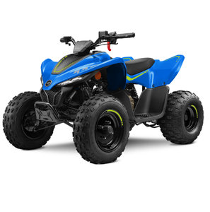 Stock 100% ORIGINAL pour MOTO C-FORCE 110 2024 - Product Image 2