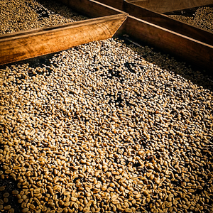 เมล็ดงาบริสุทธิ์ธรรมชาติ คุณภาพพรีเมียม ขนาด 14-32 พร้อมรับประทาน แห้งและเย็น เก็บรักษาได้ 30 วัน - Product Image 1