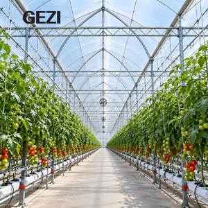 Serra a più campate con archi gotici, copertura in film collegata alle grondaie e design anti-neve per la coltivazione commerciale di ortaggi - Product Image 3
