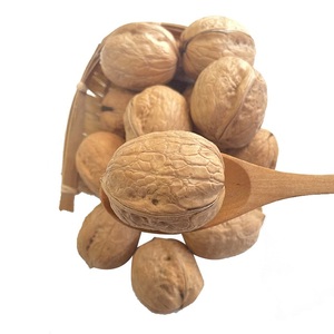 Nueces orgánicas Premium con cáscara de nogal de Chile a la venta, fabricante al por mayor - Product Image 1
