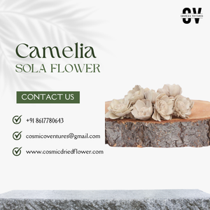 Fleur de zinnia solaire éco-responsable de qualité supérieure populaire et durable, bricolage pour mariage, Halloween, remise de diplôme, fête des pères, maison, bureau - Product Image 3