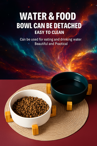 Basic Plastic Pet Tray FT12 <b>For</b> Food And <b>Water</b> OEM Available Vietnam Direct Manufacturer - Product Image 4