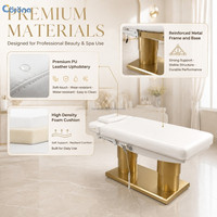 Table de soin du visage SPA ergonomique avec dossier et repose-jambes réglables, lit de beauté électrique de luxe avec lumière ambiante LED