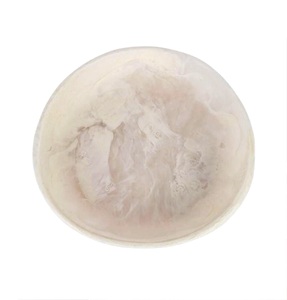 Tazón y Plato de Resina Pulida de Lujo, Aptos para Lavavajillas, Diseño Europeo Moderno Personalizable para el Hogar y Fiestas - Product Image 5