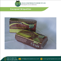 Fournisseur authentique largement vendu 100% briquettes de Cocopeat naturelles et organiques sans produits chimiques avec une capacité de rétention d'eau élevée