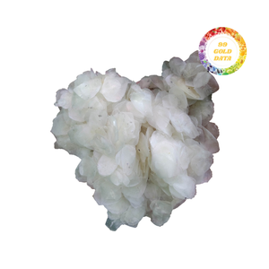 Écailles de poisson séchées durables et propres pour une décoration écologique, des fournitures d'art et des accessoires artisanaux - Product Image 2