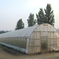 Serre commerciale multi-travées de grande taille en acier galvanisé robuste et PE, utilisée pour la culture de tomates, concombres et laitues
