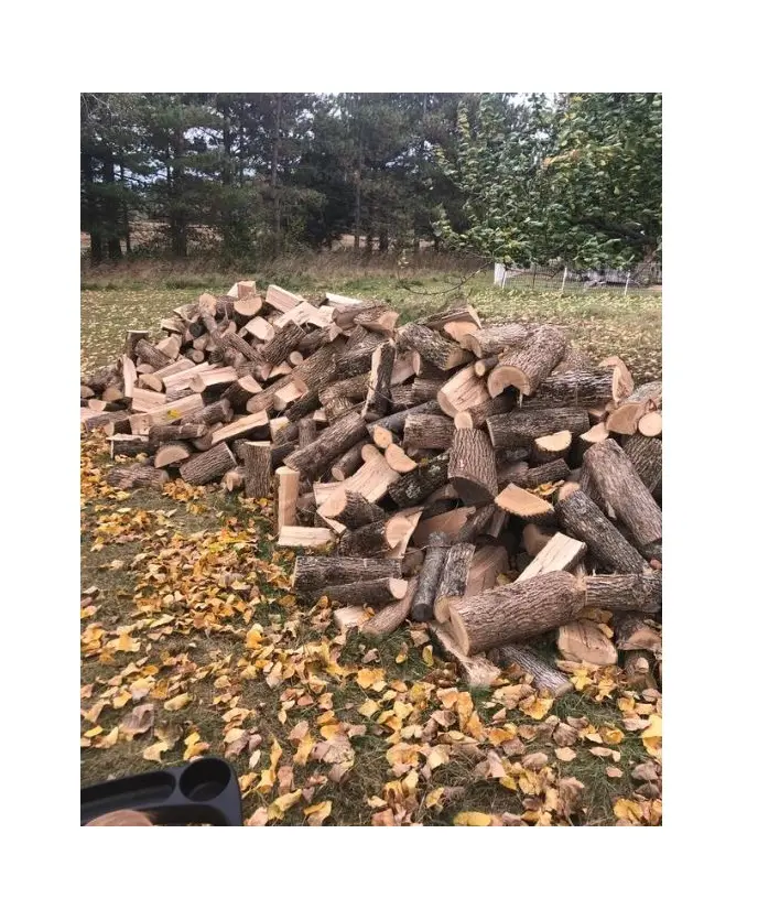 Atacado 100% material lascas de madeira para fazer polpa/combustível de biomassa Firwoord melhor qualidade bom preço pronto para enviar