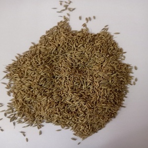 Semillas de Comino Naturales Indias de Alta Calidad de Singapur, 99% de Pureza, Marca RGPL, 12 Meses de Vida Útil, para Cocinar, de Exportadores - Product Image 3